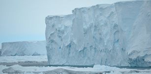 The Mertz Glacier in January 2017. Credit: Alessandro Silvano