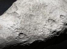 kuiper belt asteroid