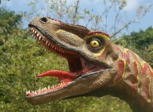 Dinosaurs in reconstructions are often shown with tongues wildly waving — a feature that is incorrect, according to new research conducted by The University of Texas at Austin and the Chinese Academy of Sciences. Spencer Wright