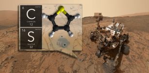 MOLECULE Curiosity has discovered ancient organic molecules in Gale Crater using its SAM instrument. Credit: NASA's Goddard Space Flight Center