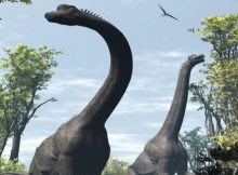 Brachiosaurus - lived 150 million years ago