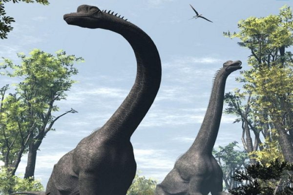 Brachiosaurus - lived 150 million years ago