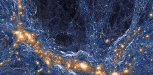 in the universe. Orange regions host galaxies; blue structures are gas and dark matter. A University of California study demonstrated that opaque regions of the universe are like the large voids in the galaxy distribution in this image because too little light from the galaxies is able to reach such regions and render them transparent. Credit: TNG Collaboration