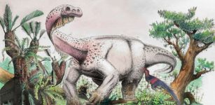 Meet Ledumahadi Mafube – New Giant Dinosaur That Roamed South Africa