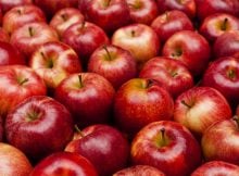 Why Eating Apples Is Healthy – Secrets Behind The ‘Miracle Fruit’