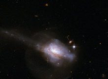 The galaxy UGC 5101 contains an active nucleus (AGN), a compact core that emits copious radiation and possible stimulates star formation. In this Hubble image, the tidal tail at the left suggests that the galaxy is actually a merging pair of galaxies. Astronomers studying how AGN influence their host galaxy's development have concluded that both grow together. NASA, ESA, the Hubble Heritage Team; STScI/AURA)-ESA/Hubble Collaboration and A. Evans University of Virginia, Charlottesville/NRAO/Stony Brook University