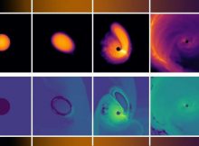 Supercomputer simulations show the evolution of a dormant white dwarf star reigniting as it whizzes around an intermediate-mass black hole. The top series of images show density, the bottom show temperature.