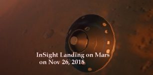 insight landing