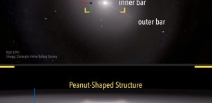 Galactic composition of NGC 1291 in which its "peanut" structure is shown. Credit: Gabriel Pérez Díaz, SMM (IAC).