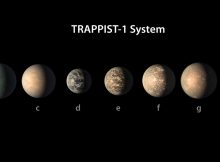 The small, cool M dwarf star TRAPPIST-1 and its seven worlds. New research from the University of Washington speculates on possible climates of these worlds and how they may have evolved.NASA