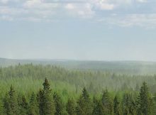 Aerosols and clouds above boreal forest. Photo: Matti Loponen Ja Juho Aalto