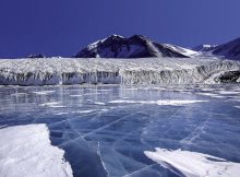 Surprising Discovery Beneath Frozen Antarctic Lake – How Did These Creatures Get There?