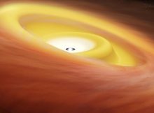 Artist’s impression of a warped disk around a protostar. ALMA observed the protostar IRAS04368+2557 in the dark cloud L1527 and discovered that the protostar has a disk with two misaligned parts. Credit: RIKEN