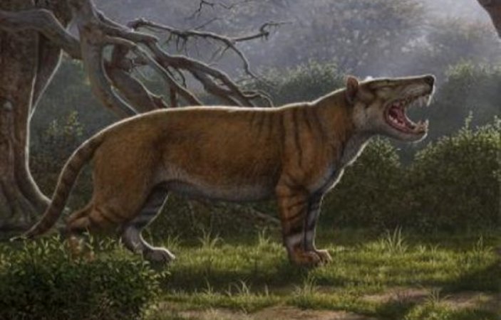 Fossils Of A 22-Million-Year-Old Gigantic Carnivore Larger Than A Polar Bear Discovered In Kenya – It’s A New Species