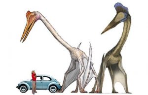 quetzalcoatlus wingspan