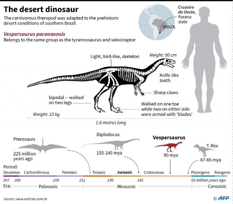 'Vespersaurus paranaensis': Small Predator That Lived 85 Million Years ...