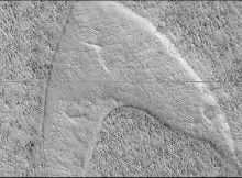 Dune Footprints in Hellas