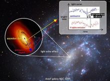 Light echo measured from the central black hole in a dwarf galaxy NGC 4395.