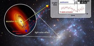 Light echo measured from the central black hole in a dwarf galaxy NGC 4395.