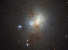 Located about 30 million light-years away in the constellation of Pyxis (The Compass), ESO 495-21 is a dwarf starburst galaxy — this means that it is small in size, but ablaze with rapid bursts of star formation. Starburst galaxies form stars at exceptionally high rates, creating stellar newborns of up to 1000 times faster than the Milky Way.