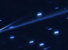 The asteroid 6478 Gault is seen with the NASA/ESA Hubble Space Telescope, showing two narrow, comet-like tails of debris that tell us that the asteroid is slowly undergoing self-destruction. The bright streaks surrounding the asteroid are background stars. The Gault asteroid is located between the orbits of Mars and Jupiter. Image: NASA, ESA, K. Meech and J. Kleyna, O. Hainaut