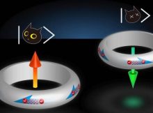 A visual representation of a qubit, which can exist simultaneously between two states. A famous example of a qubit is Schrodinger's cat, a hypothetical cat that can be both dead and alive. Similarly, a flux qubit, or a ring made of a superconducting material, can have electric current flowing both clockwise and counterclockwise at the same time.