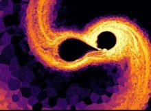 The simulation marks the birth of a magnetic star such as Tau Scorpii. The image is a cut through the orbital plane where the colouring indicates the strength of the magnetic field and the light hatching reflects the direction of the magnetic field line. | © Ohlmann/Schneider/Röpke