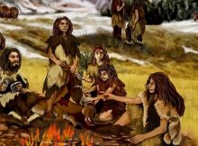 Neanderthals disappeared around 40,000 years ago