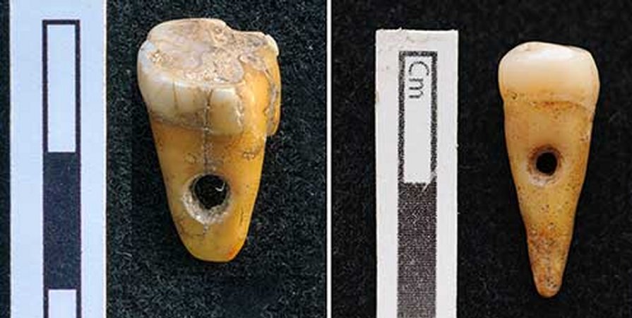 Rare Discovery Of 8,500-Year-Old Human Teeth Used As Jewelry