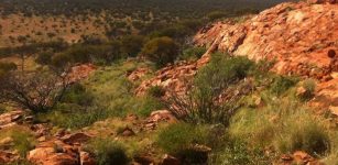 Yarrabubba crater is now Earth’s oldest known meteorite impact site. T.M. ERICKSON