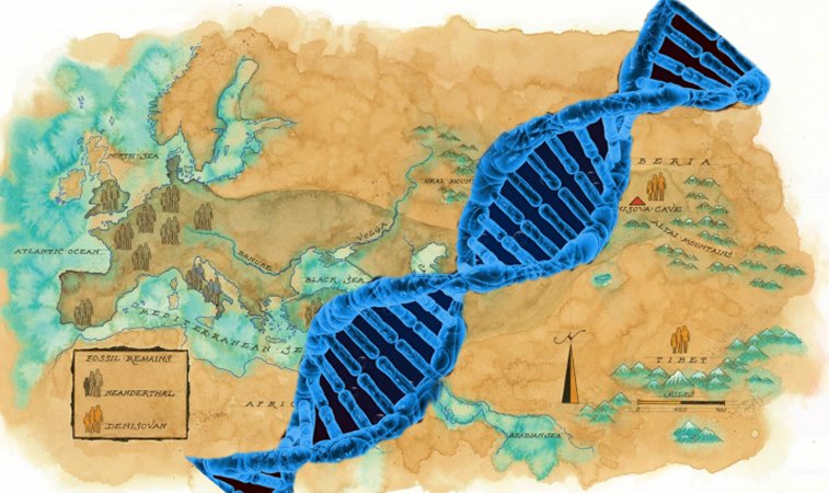 Genetic Fingerprints Of Unknown Species Discovered In Human DNA