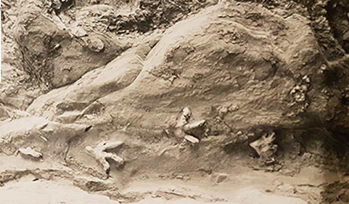 Dinosaur footprints on a cave ceiling in Central Queensland