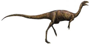 Noasaurid: New Carnivorous Two-Legged Dinosaur Found In Australia ...