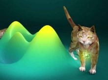 New Approach To Solve Paradox Of Schrödinger's Cat