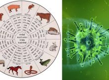 Ancient Calendar Predicted The Coronavirus And Other Disasters In 2020 - History Researcher Says