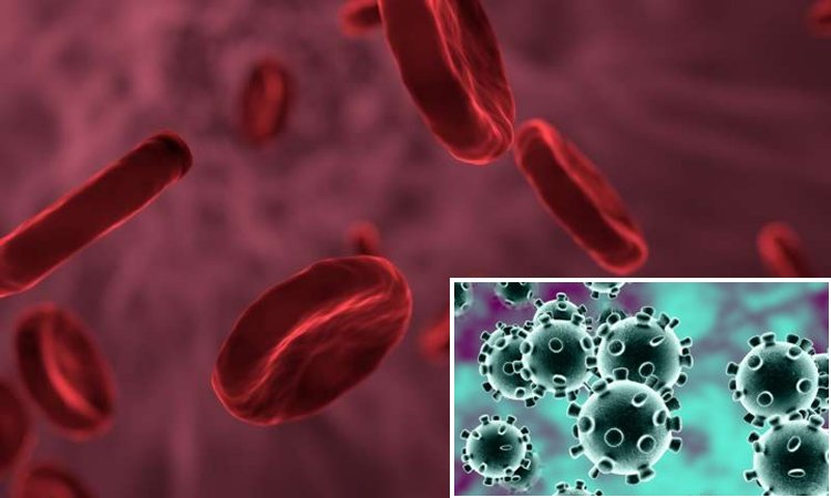 Does Your Blood Type Matter When It Comes To Coronavirus?