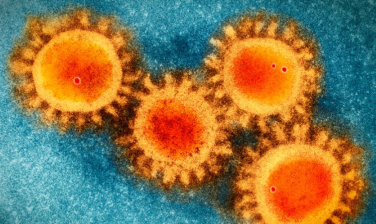 Is The Coronavirus A Bioweapon? Scientists Investigated And The Answer Is No