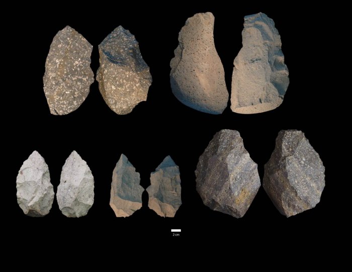 Gona, Ethiopia Discovery: Smallest 'Homo Erectus' Cranium In Africa And Stone Tools - Unearthed