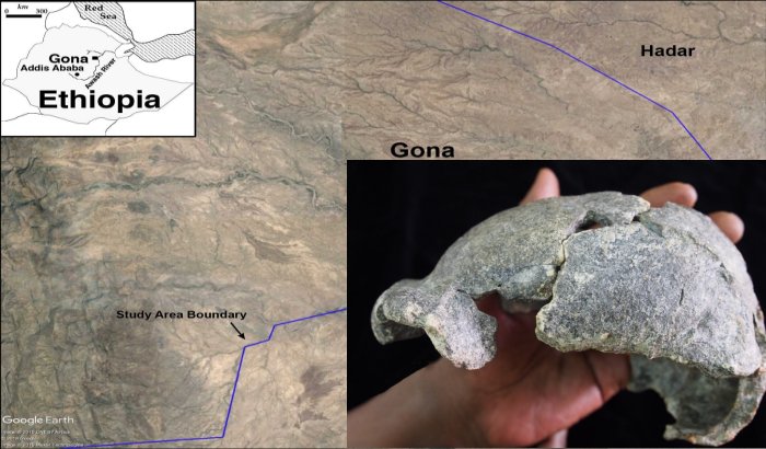 Gona, Ethiopia Discovery: Smallest 'Homo Erectus' Cranium In Africa And Stone Tools - Unearthed