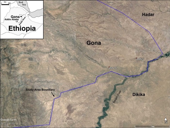 Gona, Ethiopia Discovery: Smallest 'Homo Erectus' Cranium In Africa And Stone Tools - Unearthed