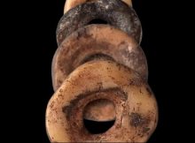 Ostrich Eggshell Beads Were Social Currency For People Who Lived 33,000 Years Ago