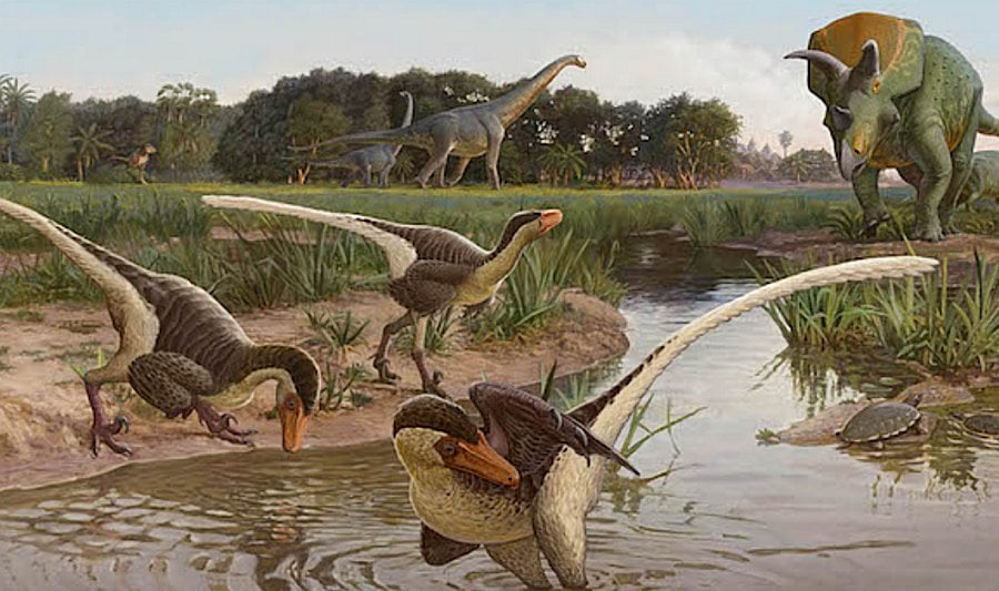 list of feathered dinosaurs