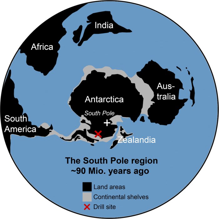 Evidence Of 90-Million-Year-Old Rainforests In Antarctica Discovered 