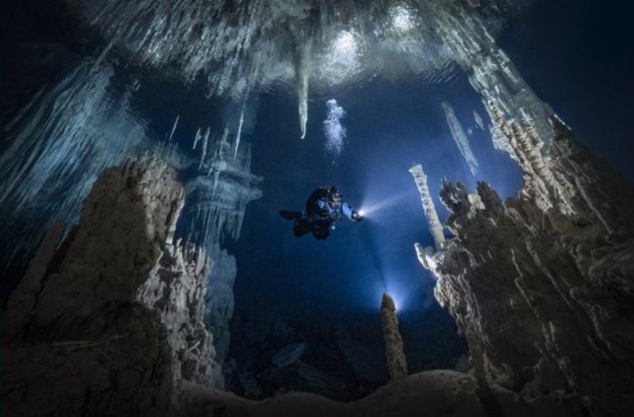 Amazing Photos From The Underwater Competition DEEP Indonesia – Here Are The Winners