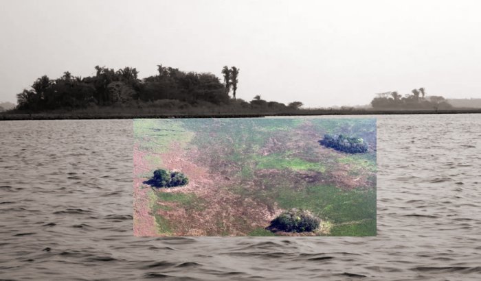 Amazonia's forest islands as seen from above.