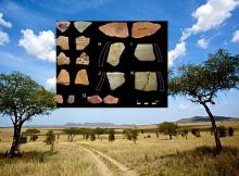 Pastoralism in Prehistoric Kenya and Tanzania