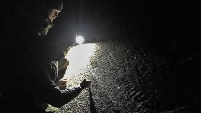 Hunting for petroglyphs can lead to remarkable discoveries. Credit: Lars Ove Klavestad