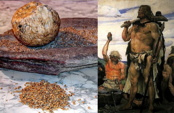 Stone Age Humans Unlocked The Glucose In Plants 40,000 Years Ago