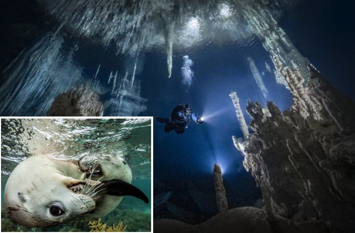 Amazing Photos From The Underwater Competition DEEP Indonesia – Here Are The Winners