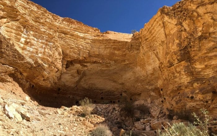 Remarkable Ancient Animal Engravings Discovered In Unknown Cave In Sinai